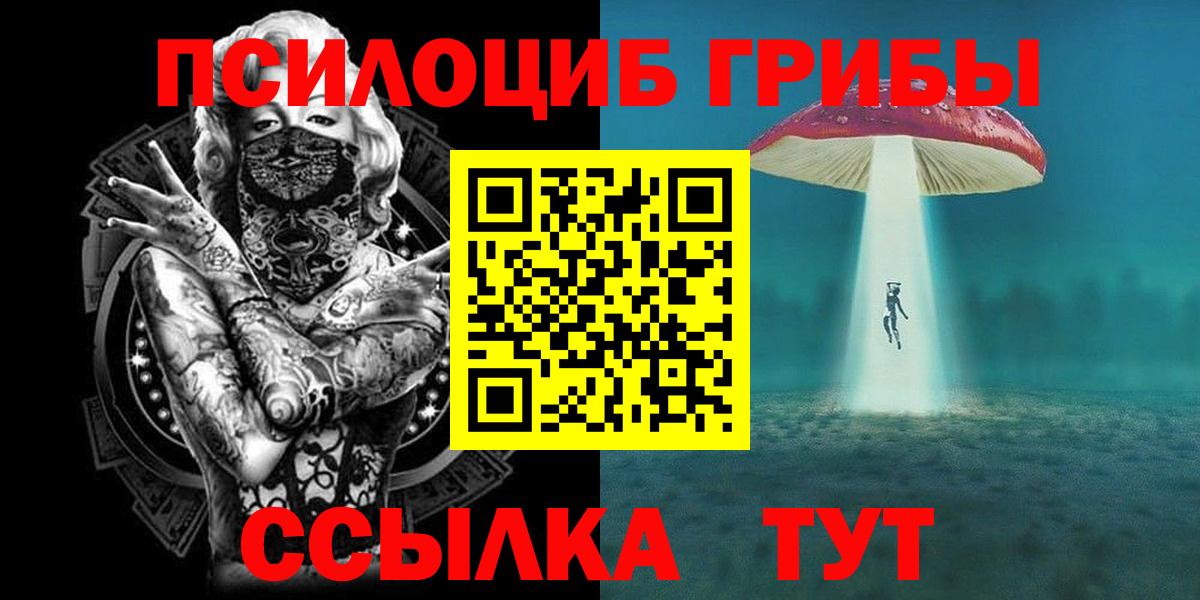 Новомосковск  Псилоцибиновые грибы Psilocybe  Вход с VPN 