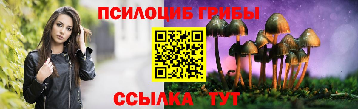 Псилоцибиновые грибы GOLDEN TEACHER Новомосковск